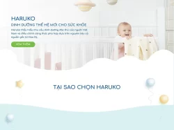 Theme WordPress bán sữa cho bé 02